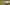 Promotion banner
